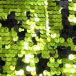 Reversible Sequins