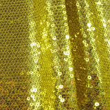 Sequin on Mesh