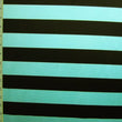 2 Inch Horizontal Stripe (Shiny)