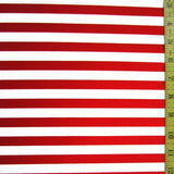 1/2 Inch Horizontal Stripe (Shiny)