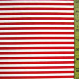 1/4 Inch Horizontal Stripe (Shiny)