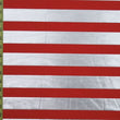 Metallic Stripe