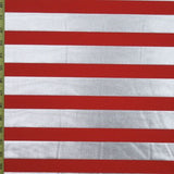 Metallic Stripe