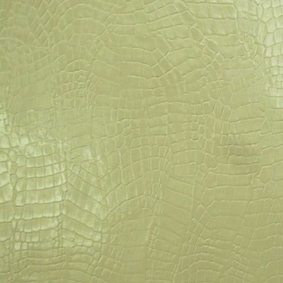 Crocodile Skin
